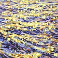 Dance of glare on the water 2.