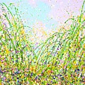 	Summer. Flower field 2.